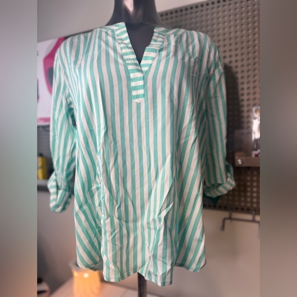 Jane and Delancey Women's Striped Mint Blouse Shirt Size Large Buttons